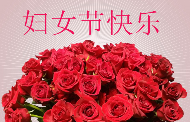 妇女节快乐|三月暖阳不及你-收放卷张力控制系统厂家